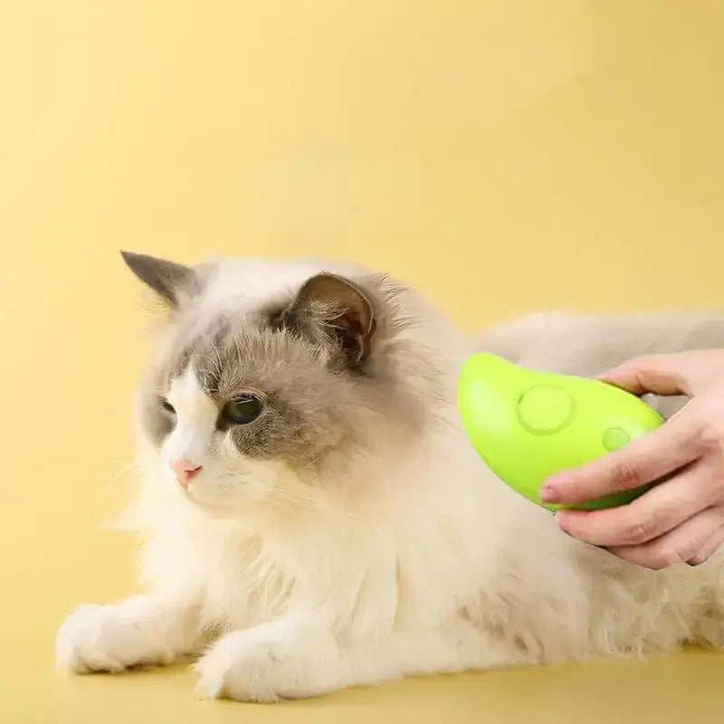 Pet Brush